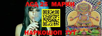 эйфоретик Жуковский