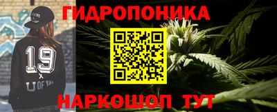 эйфоретик Жуковский