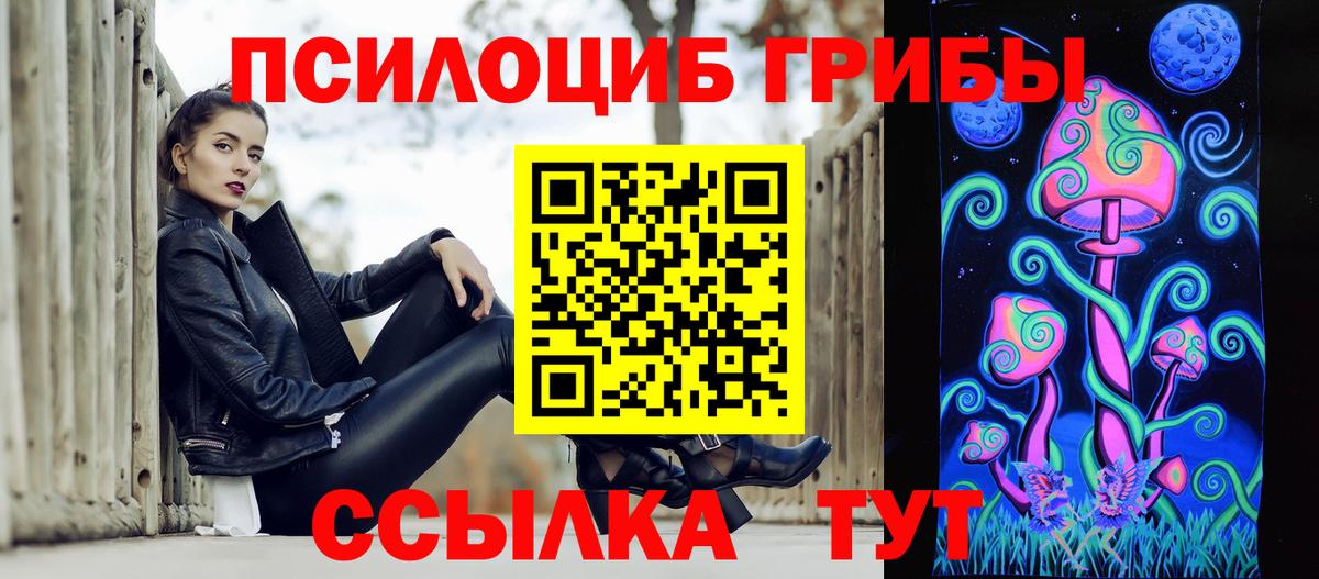 Псилоцибиновые грибы Psilocybe Усть-Джегута